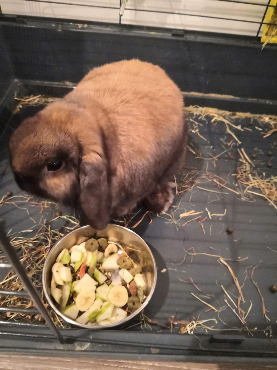 Clément tweet media