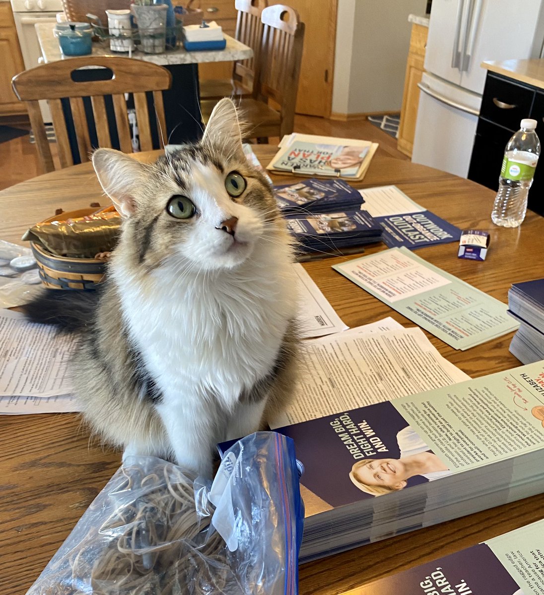 thatonemaddy's tweet photo. Iβm crushing hard on my canvassing trainer π¬π #LFG https://t.co/XAmfMkIZfn