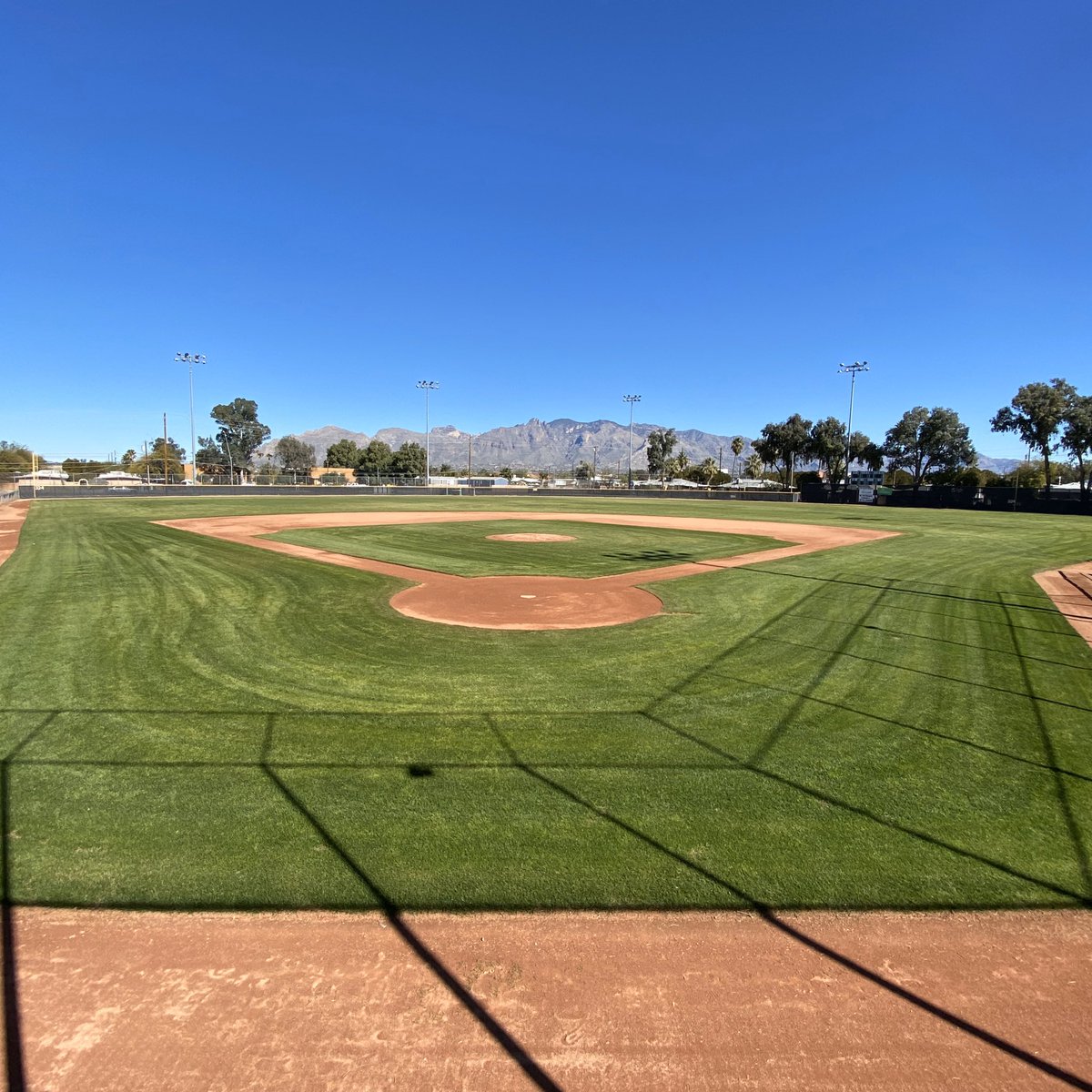 Amphi Panthers ⚾️ tweet media