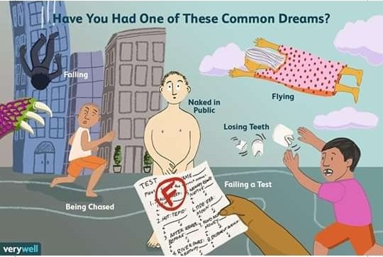 sdingoh's tweet image. 