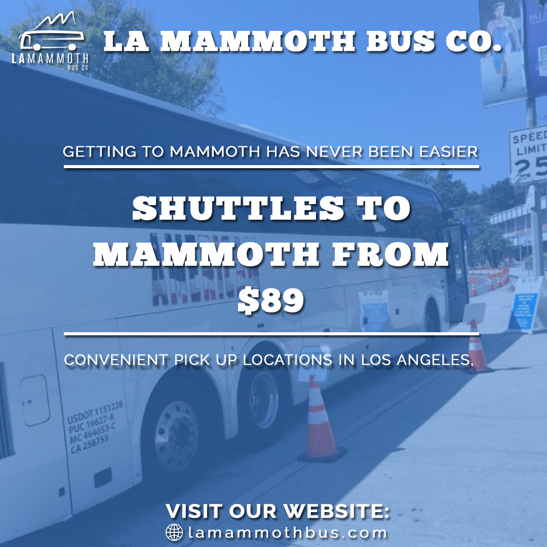 LAMammothBus's tweet photo. Are you up for some snow boarding?? 🏂🏂So are we!!
We have the premium All-in-one Shuttle service upto Mammoth Mountain for you. 🏔️🚌 So you dont have to worry about anything!! Isnt that great! 😀
Just visit our website to view more info and schedules.
#lamammothbusco #snow https://t.co/8GBjt1qUML