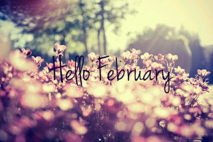 Wishing a #Happy #February to all of our Steadfast Followers! 💟
