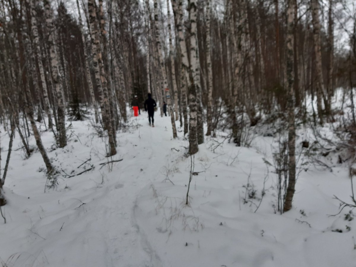 pyssymaki's tweet photo. @pyssymaki kisareitillä oli tänään lumista, mutta se ei haitannut kymmenpäistä joukkoa, joista yli puolet juoksivat/kävelivät +20km. 
#NivalanPolku kohti #SuperPEP2020 https://t.co/gju9bYGJDg