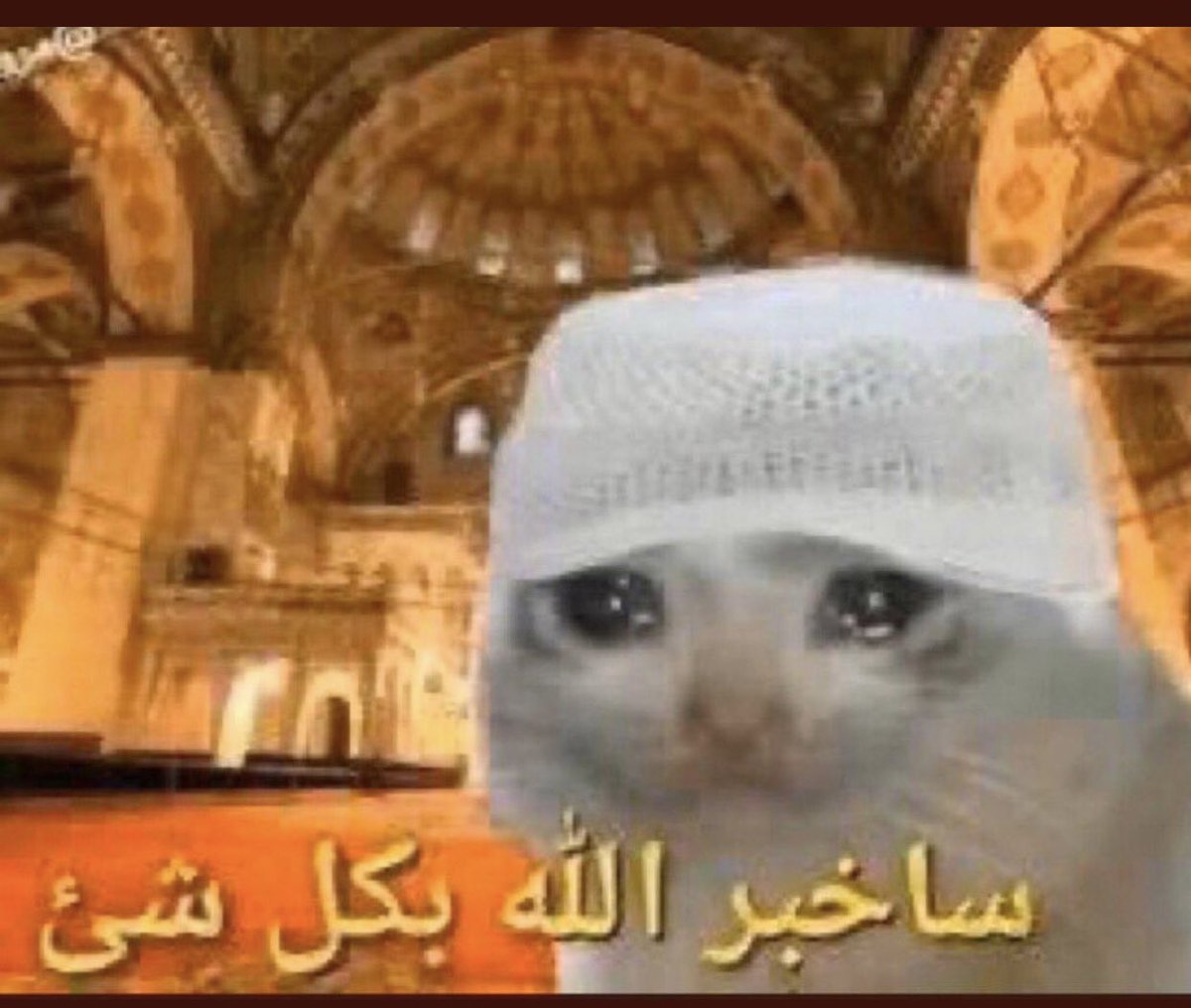 عبدالله 💛 tweet media