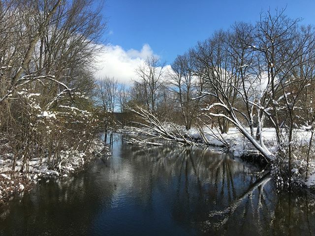 MiStateParks's tweet photo. Caption this. .
.
.
.
.
#Michigan #Outdoors #Adventure #MiDNR #ExploreOutdoors #MiParks #ComeOutAndPlay #OptOutside #PureMichigan #MiStateParks #MakingMemoriesInMichigan #FindYourWild #LetsWinter https://t.co/ONtGWeNXOq https://t.co/h5tGeKPzHu