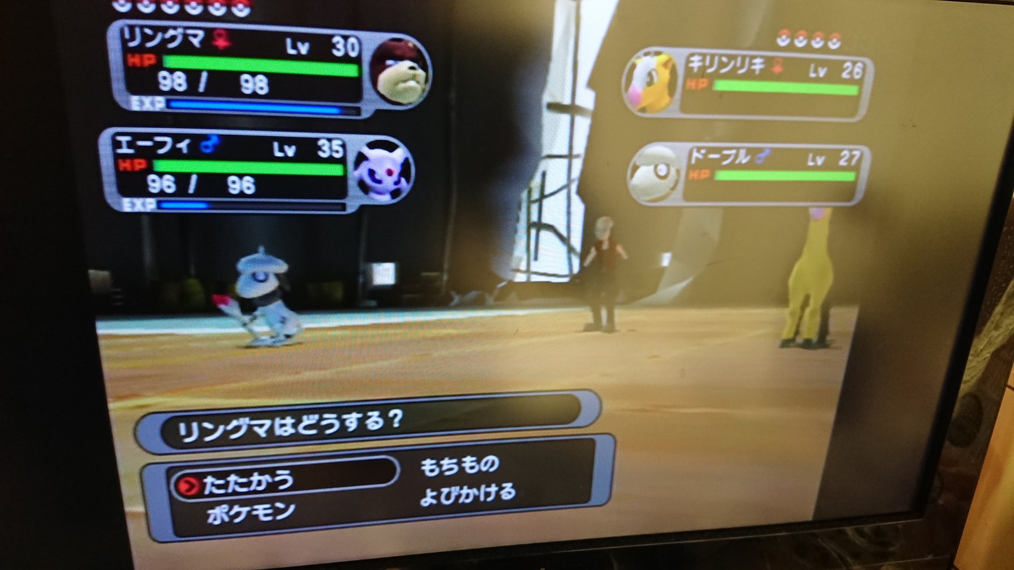 レオン Xd やってたら 敵のダークポケモンでもなんでもないドーブル色違いっぽいんだけど こんなことあんのか T Co Fs7q2zfdqz Twitter
