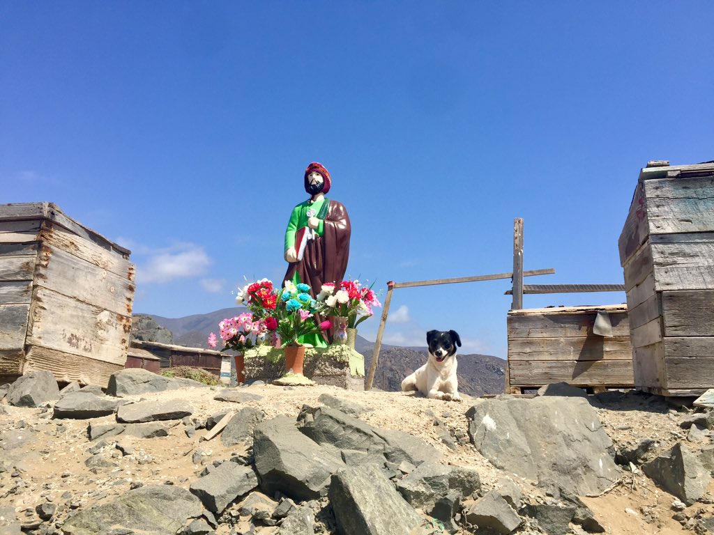 architect_cl's tweet photo. Tierra de Changos. Imaginando su extinto dialecto, el Kunza.

#puntadechoros
#DomosKunza https://t.co/l2EBRRKz98
