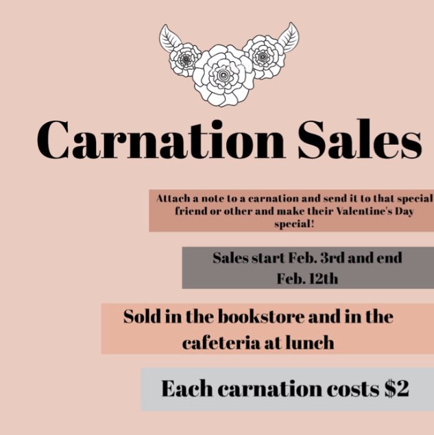 Student Council is selling carnations! Give a note to a special someone in your life and we’ll deliver it! Sales start Monday, February 3rd and end Wednesday February 12th. Only $2 per carnation. Sold in bookstore during school and during all lunch shifts by the salad bar.
