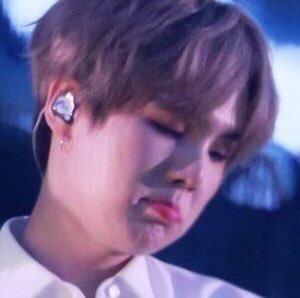 day 34: i want to boop yoongi’s button nose