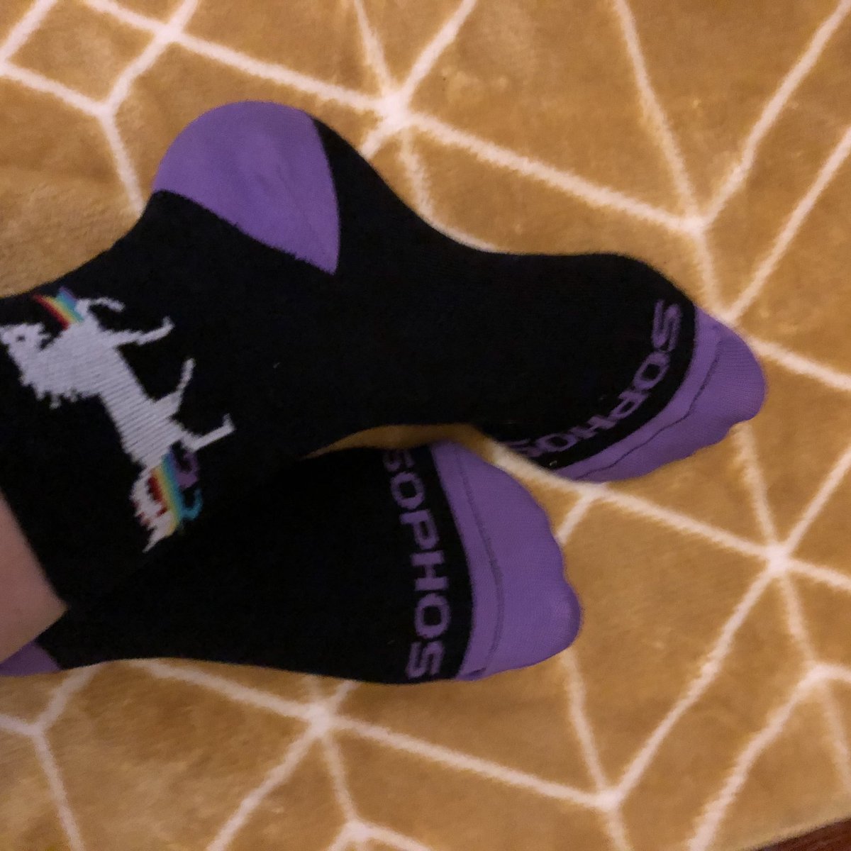 JacquiGarrad's tweet photo. Today was a #fabulousday @tnmoc I came home to light the #fire and #relax with my #amazing-family and I realised I was wearing my @Sophos #unicornsocks they really are #magicsocks https://t.co/Mk55hr8gYL