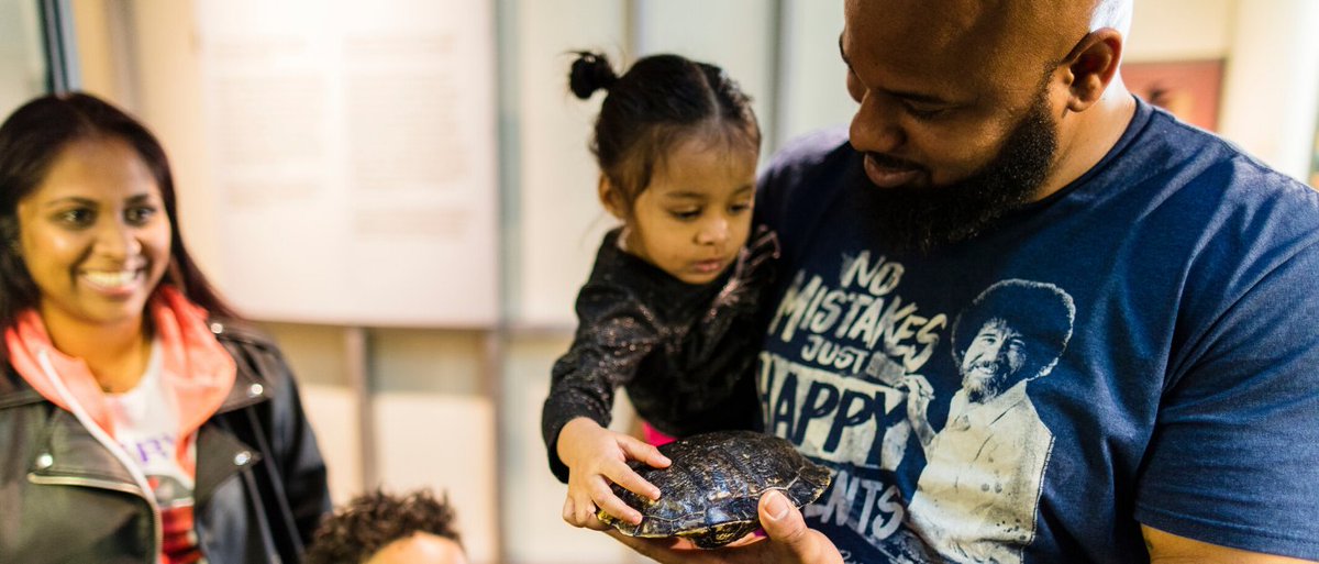 Caregiver with child looking at a turtle shell