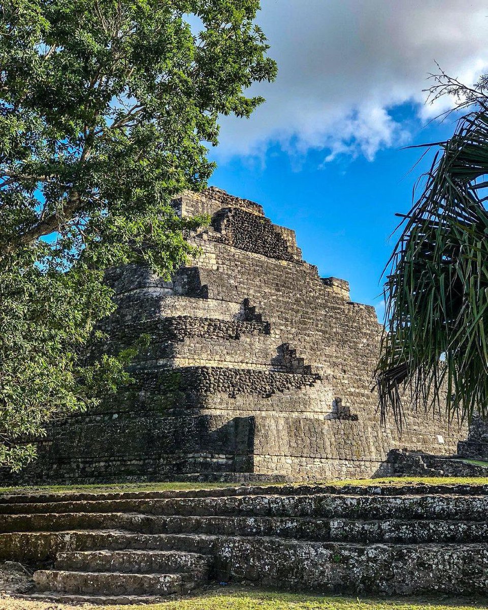mxmqroo's tweet photo. ¿Sabías que #QuintanaRoo cuenta con 18 zonas arqueológicas? Visítalas y maravíllate con nuestra milenaria cultura maya. #chetumal #cozumel #playadelcarmen #tulum #islamujeres #bacalar #holbox  #Cancun https://t.co/riuDWy9rhW
