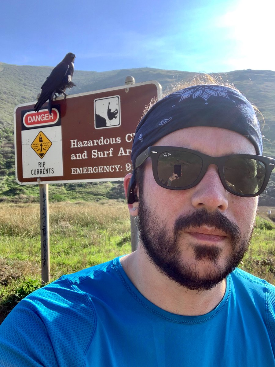 Terrifying corvid menacing me from the hazardous cliff and surf warning sign