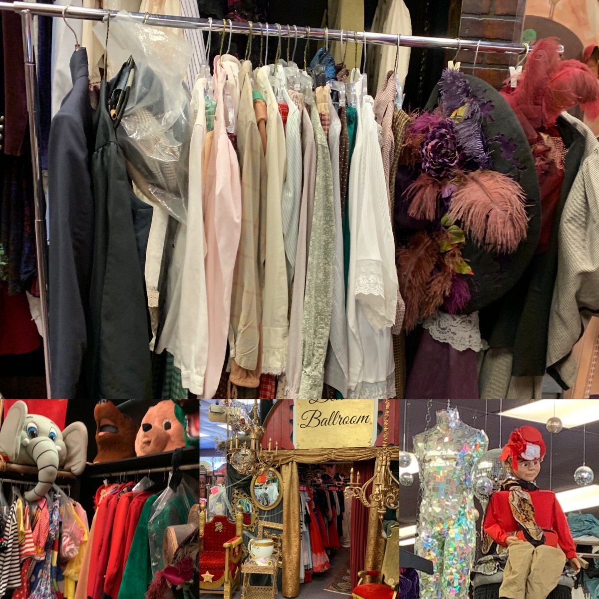 dmstheatrearts's tweet photo. Thank you @RoseCostumes for help with our one-act. The most helpful/best customer service in DFW. #toseethestars https://t.co/9VPzuhaivq