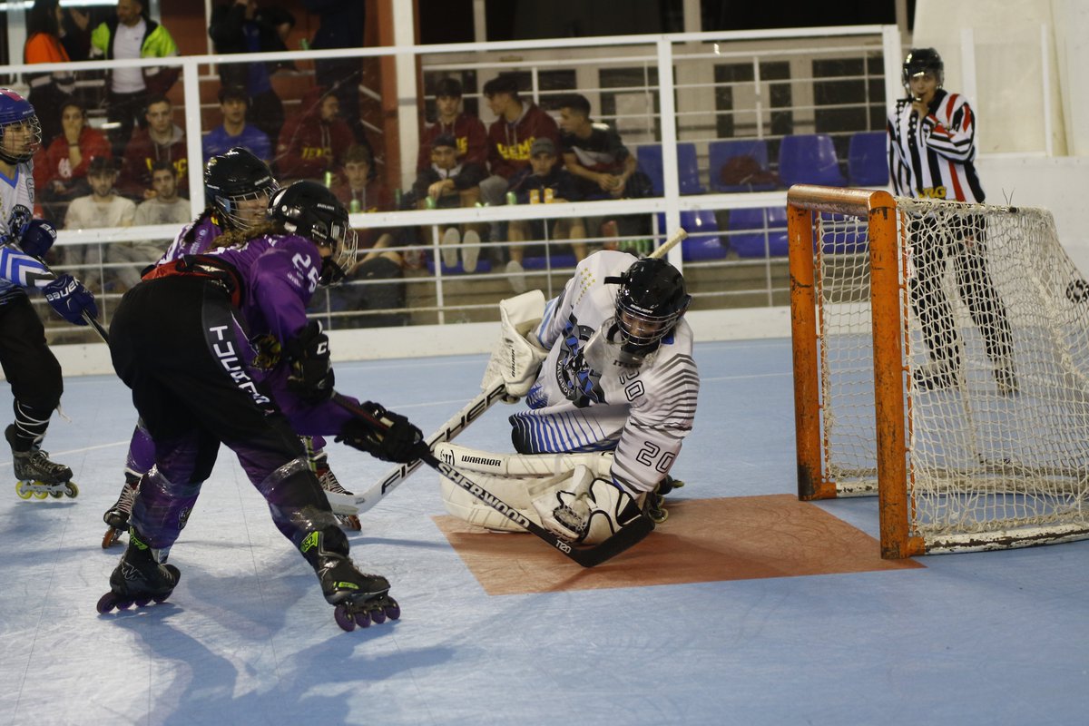 RFEPatinaje tweet media