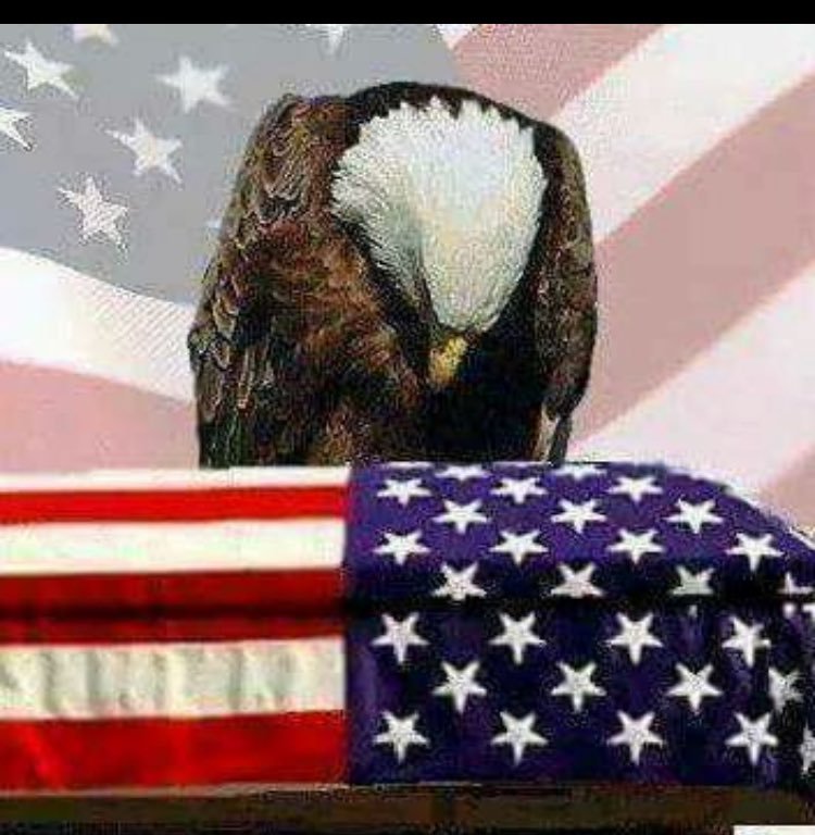 yonfran26's tweet photo. @RedNationRising The death of Ambassador Christopher Stivens is Hilary's fault #11S2012 the true enemies of the united states of america. https://t.co/QIMU9sLhHH