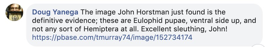 Eric Gordon tweet media