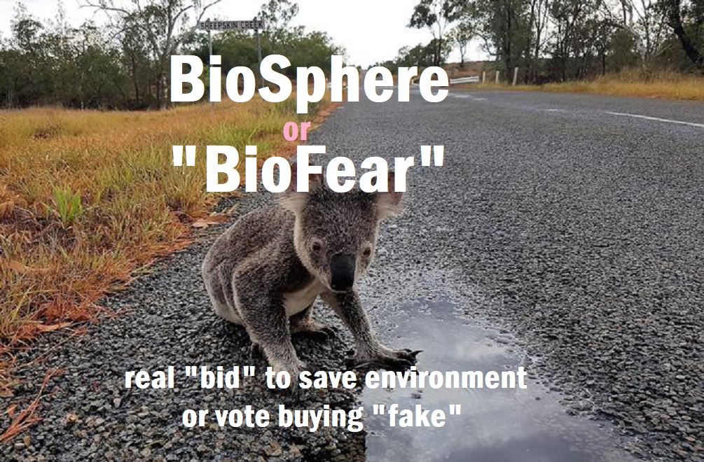 Sunshine Coast Local Elections March 28th 2020 tweet media