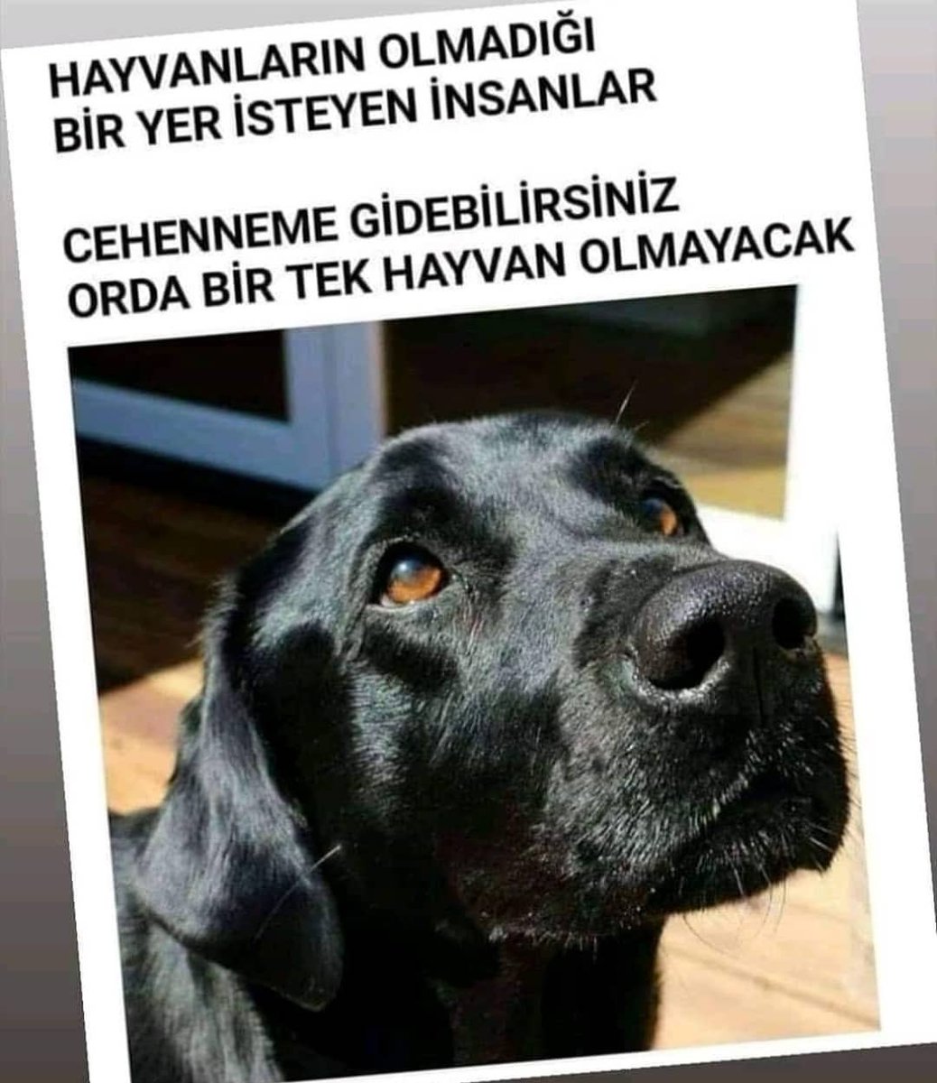 Nokta.      
#Pazar #iyigeceler