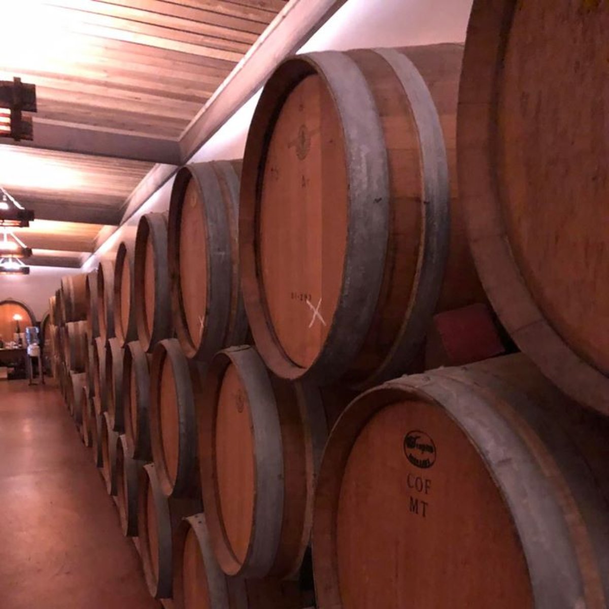 Stagecoach Wine Tours tweet media