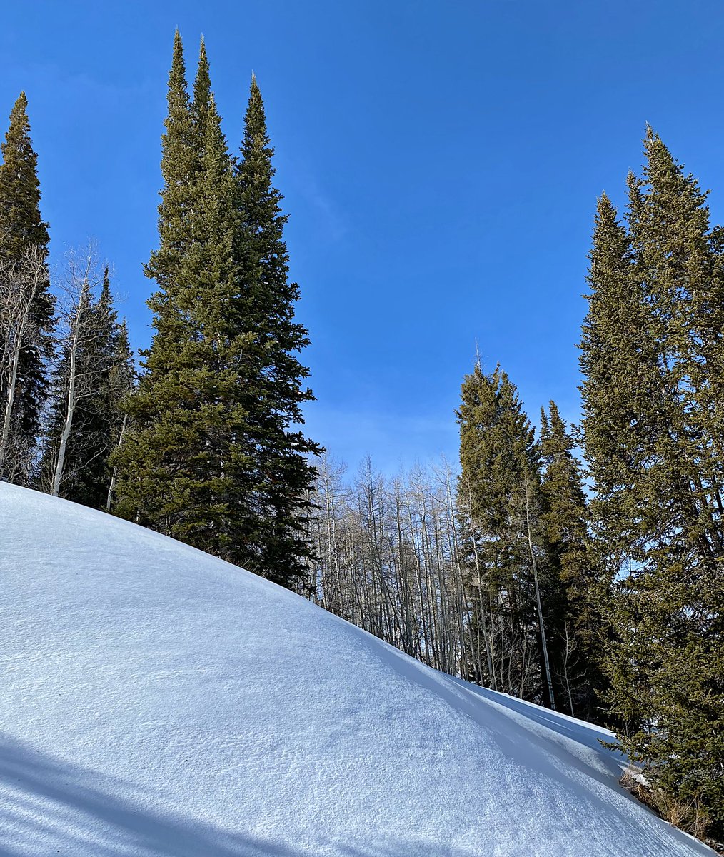 FrankieSLC's tweet photo. Our little slice of heaven.  

#utah #visitutah #ourmtscanbeatupurmts #visitsaltlake #utahisrad #wasatchback #naturesprozac #timberlakes https://t.co/fSpzUfg96l