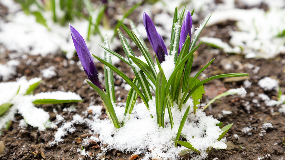 KnowlesBuilding's tweet photo. Follow our spring maintenance checklist and catch minor issues before they turn into big issues. https://t.co/kUNvKw6GBA https://t.co/odnbjTIgKF