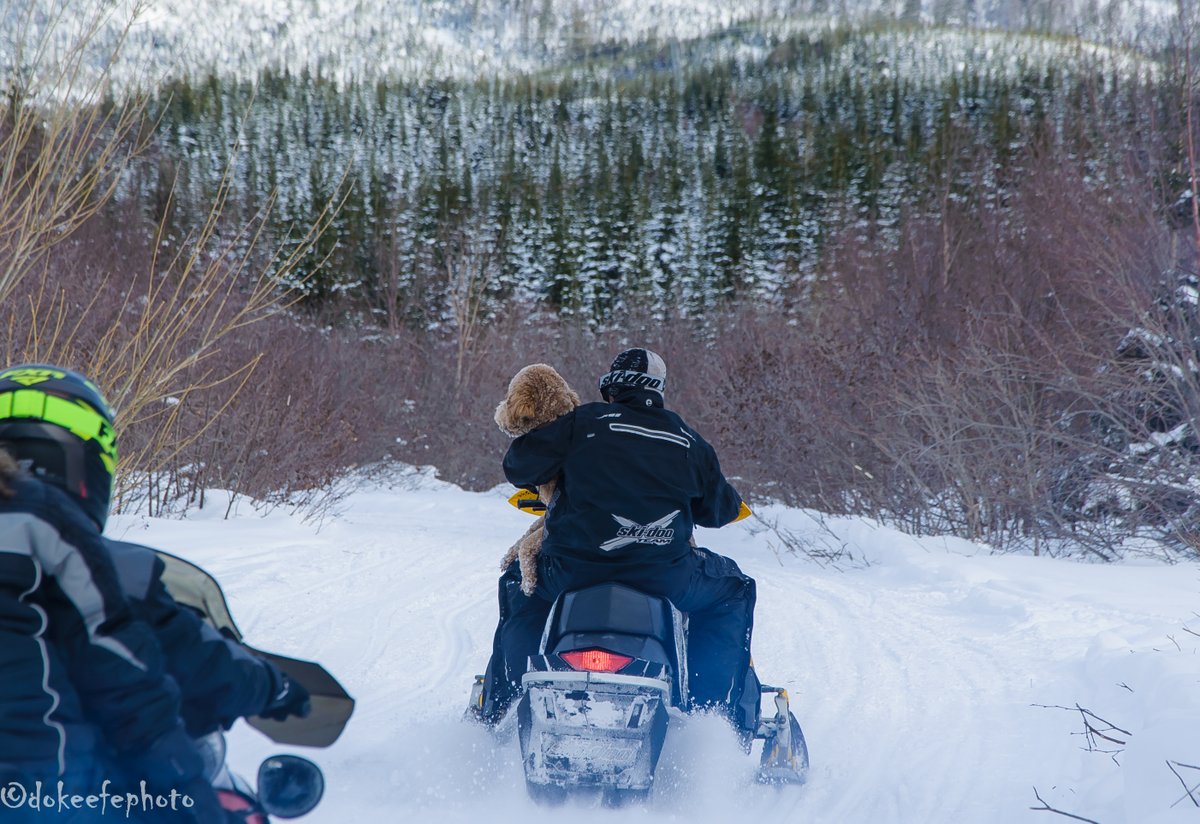 Donnie O'Keefe tweet media