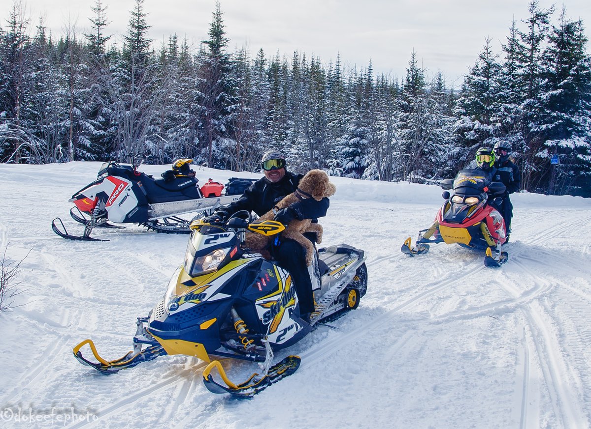 Donnie O'Keefe tweet media