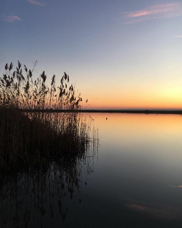 ♥️Seeliebe
.
#neusiedlersee #seekinder #seeliebe ift.tt/390EBi9