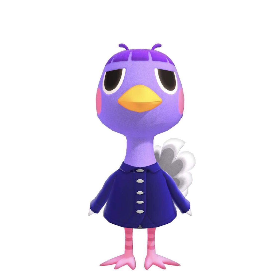 Star 🦡 on Twitter: Star 🦡 on Twitter: