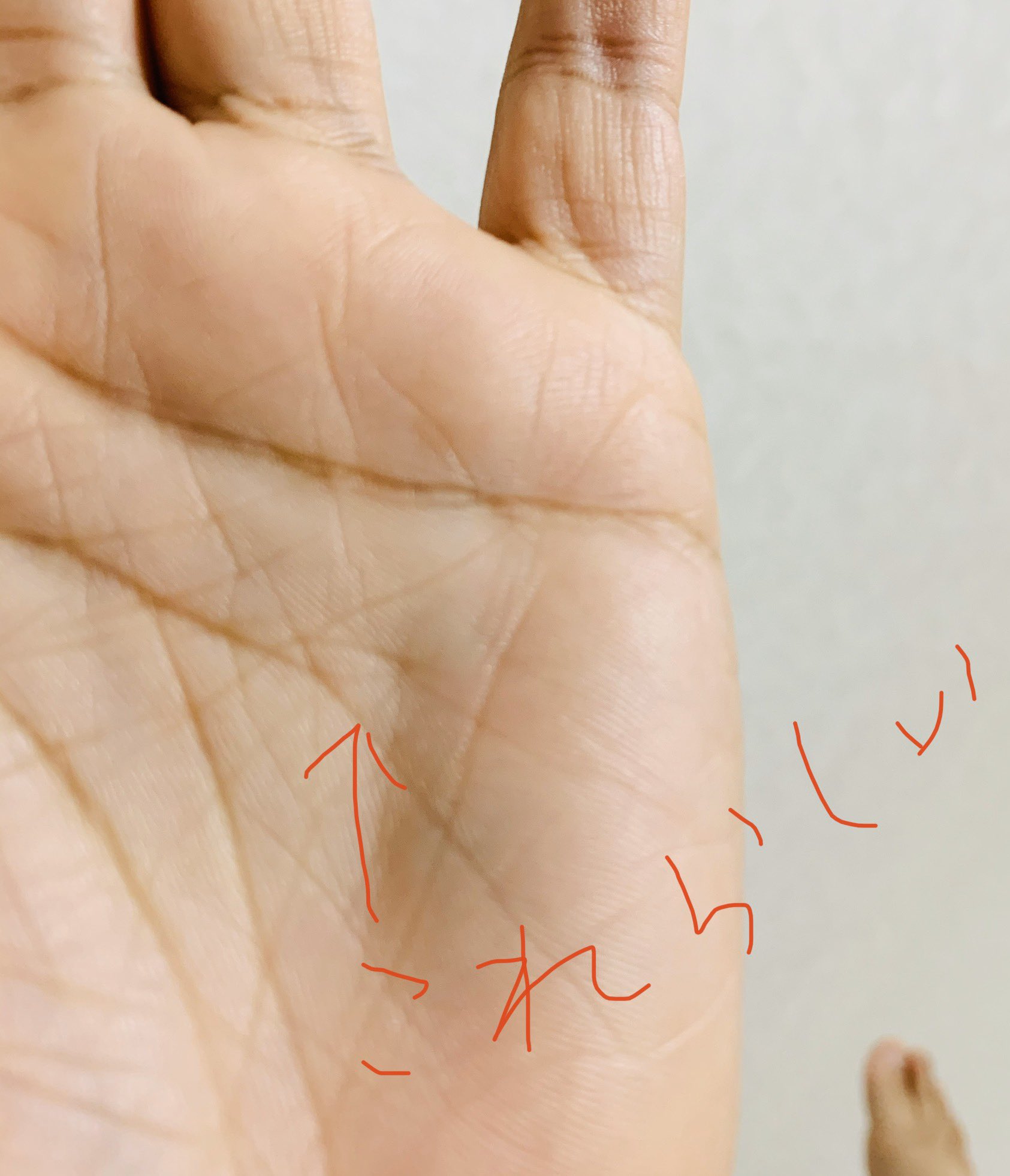 ナンシー諸善1月25日 31日浦和伊勢丹6fザ ステージ個展 Egc展4日目の朝 今日はギャラリートークだ 頑張るぞ 昨日は日本画の斎藤理恵先生に手相を見てもらいました 結構いい線があるそうです 嬉しみ 手相 知能線 フィッシュ 魚紋 T Co