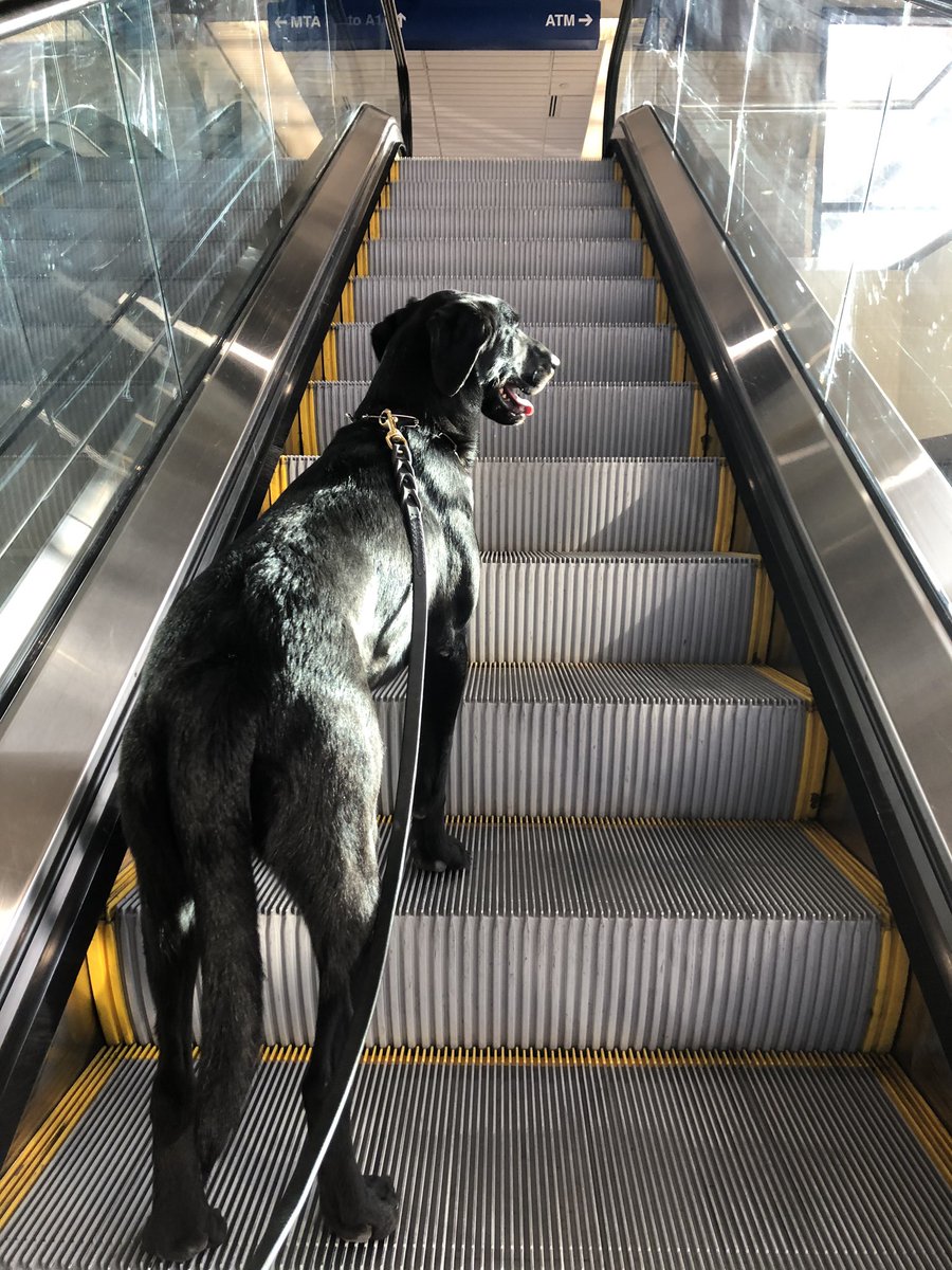 Dominic: Hey dad, I got think we need to go up here...