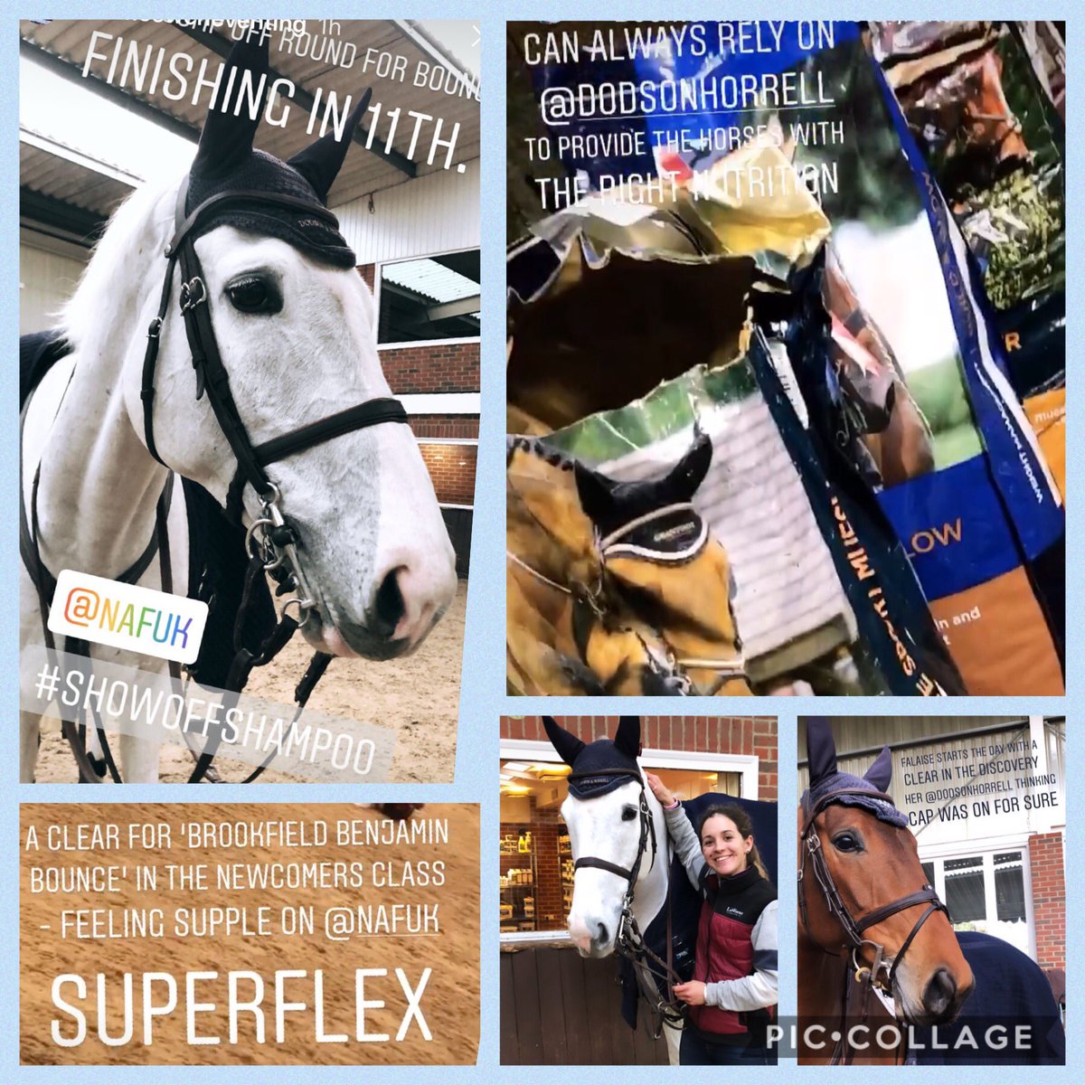 Tom McEwen (@tommcewen1) on Twitter photo A busy day at <a href="/AddingtonManorE/">Addington Manor EC</a> the younger horses are throughly enjoying their new year outing.
Meanwhile Beookfield Benjamin Bounce has been posing for the camera today 📸 looking good and feeling good thanks to <a href="/DodsonHorrell/">Dodson & Horrell</a> & <a href="/nafuk/">@nafuk</a> <a href="/horsehealthcouk/">LeMieux Products</a> A busy day at <a href="/AddingtonManorE/">Addington Manor EC</a> the younger horses are throughly enjoying their new year outing.
Meanwhile Beookfield Benjamin Bounce has been posing for the camera today 📸 looking good and feeling good thanks to <a href="/DodsonHorrell/">Dodson & Horrell</a> & <a href="/nafuk/">@nafuk</a> <a href="/horsehealthcouk/">LeMieux Products</a>