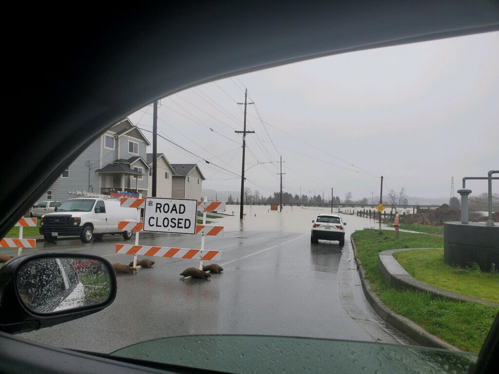 SnohomishPD's tweet photo. The water has continued to rise and Lincoln Ave is now closed at First Street. Do not drive around the signs. Please use alternate routes. https://t.co/t2pwzKhtqs