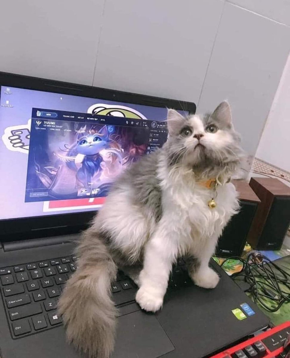 yeah i have yummi irl , so what?