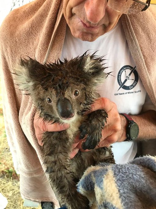 View image on Twitter