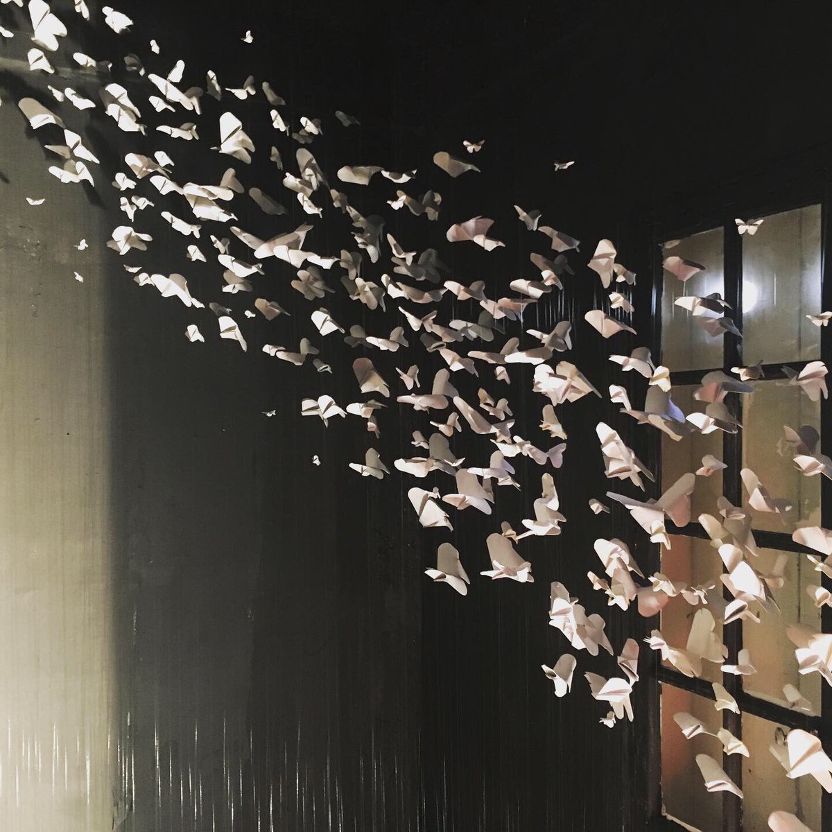 #lagalerieephemere #journeezoneshumides #villeneuvelesmaguelones #siou #papillons #papier #poesie