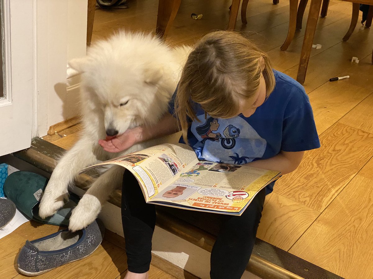 A white dog licks the hand of a young girl who is reading a magazine.