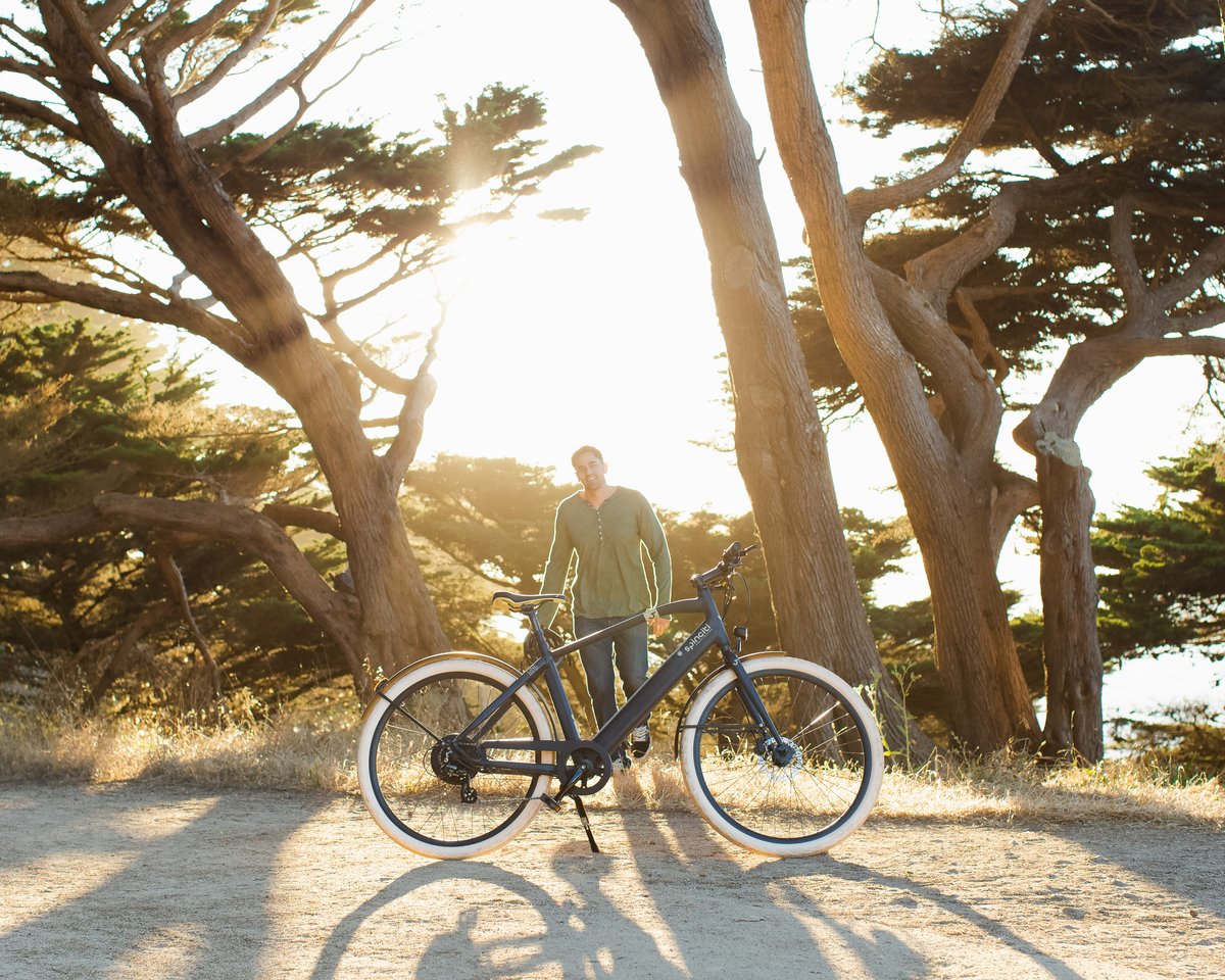 Spinciti tweet media