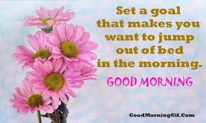 ranigill7's tweet photo. #GREAT!!! FRESH DAY FRIENDS , #HAPPY  MORNING  AMAZING!!! 🌻🌹🌻🌹🌻🌹 FRIENDS , #GBU ALL #THOUGHT@VandanaSharm  @jojoawana @Harjitk32610245 @kauserseema @pari25tri  @Pinkysmile24 @Surekhas159  @RubyKha09925269  @TweetyVerma  @ShwetaMittal20  CHEERS https://t.co/f32OiITaRT