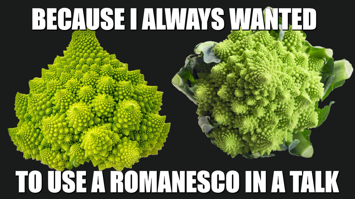 Romanesco & Postgres meme image: because I always wanted to use a Romanesco in a conference talk