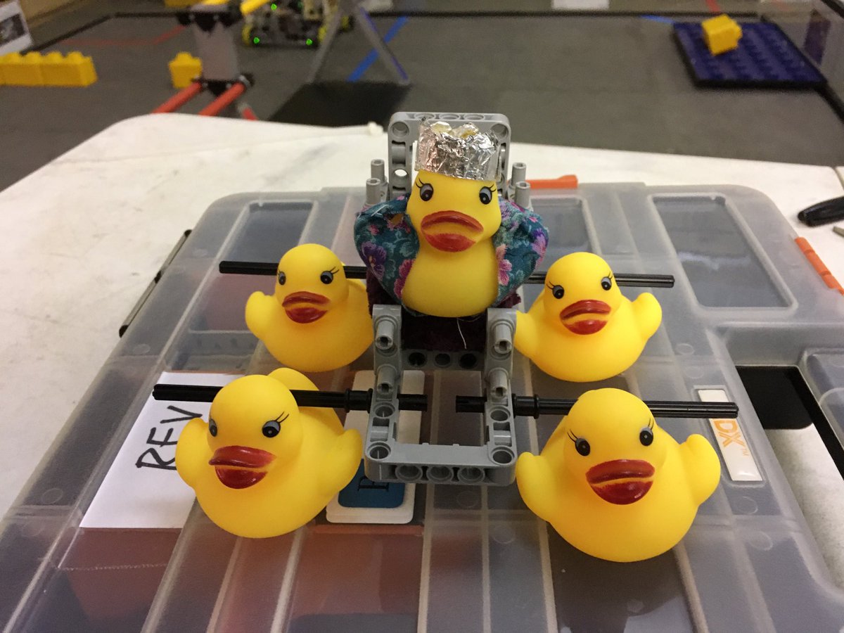 Quantum Quacks tweet media