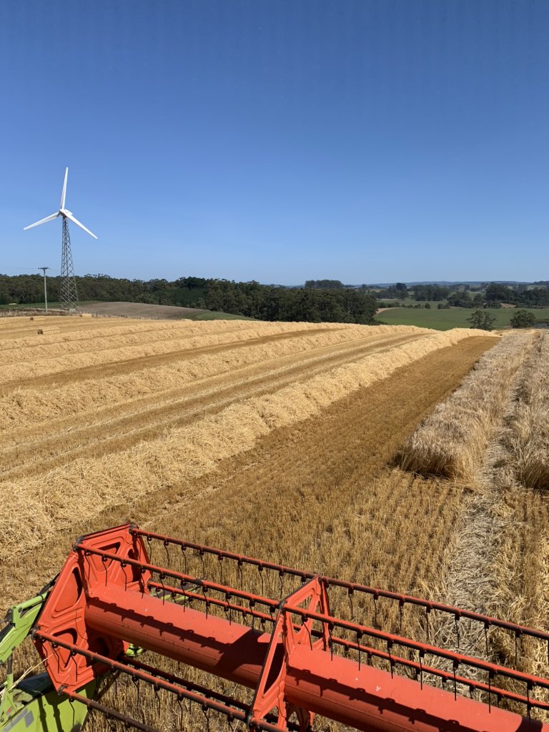First paddock of plant barley harvested this year 13 ha ave 11.7 t/ ha plus 350 3by 3 by 8 foot bales gross margin of $4968/ha