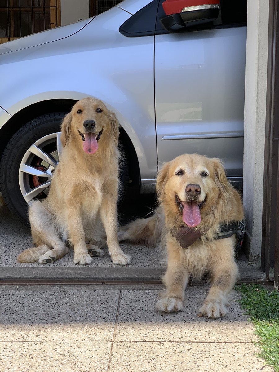 Ara y Olivia. Ara nos ayudo a que Olivia se sienta un poco acompañada por un rato (mientras le dieron un baño)