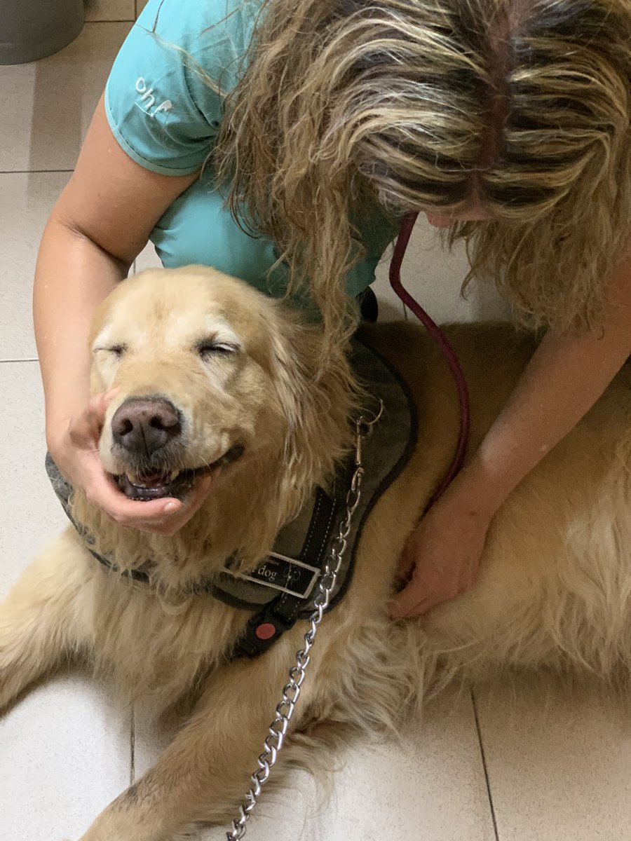 Olivia en el vet. Oli ya tiene las vacunas al día!