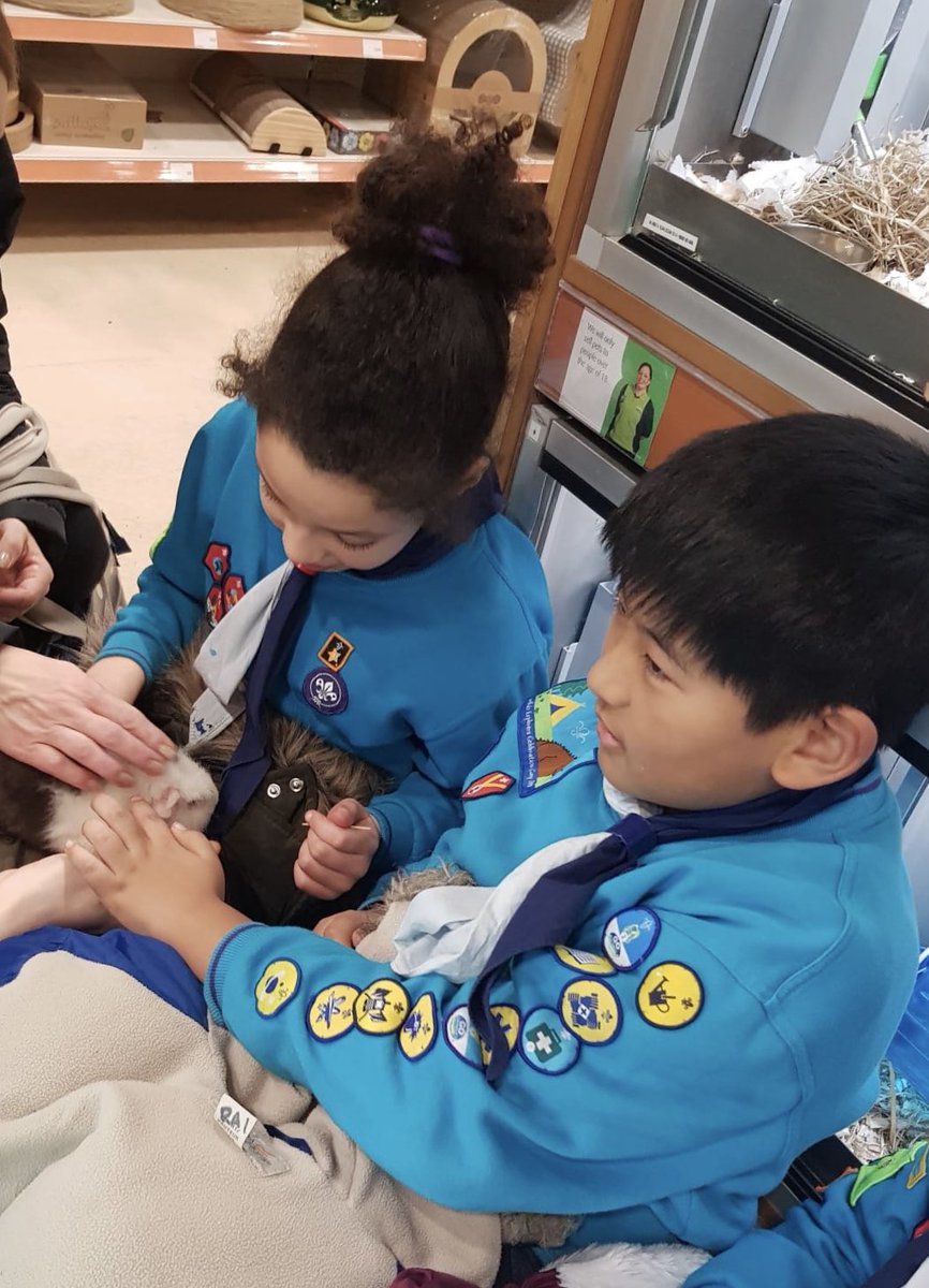 ReadingScouts's tweet photo. RT nickcoatesuk: At the end of every term, I do a log chew with 47th ReadingScouts Beavers. This term they wanted to do their Animal Friend badge. Thanks to the Reading PetsatHome team for allowing us to visit! UKScouting #skillsforlife https://t.co/lkoXpTxL62