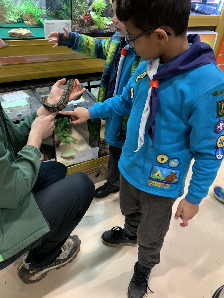 ReadingScouts's tweet photo. RT nickcoatesuk: At the end of every term, I do a log chew with 47th ReadingScouts Beavers. This term they wanted to do their Animal Friend badge. Thanks to the Reading PetsatHome team for allowing us to visit! UKScouting #skillsforlife https://t.co/lkoXpTxL62