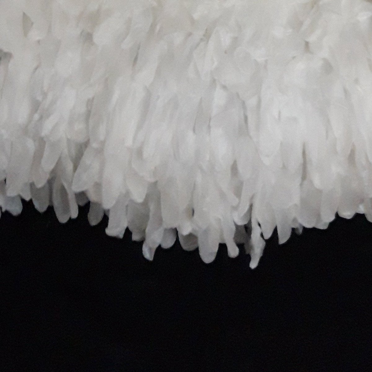 ••Elizabeth•• tweet media