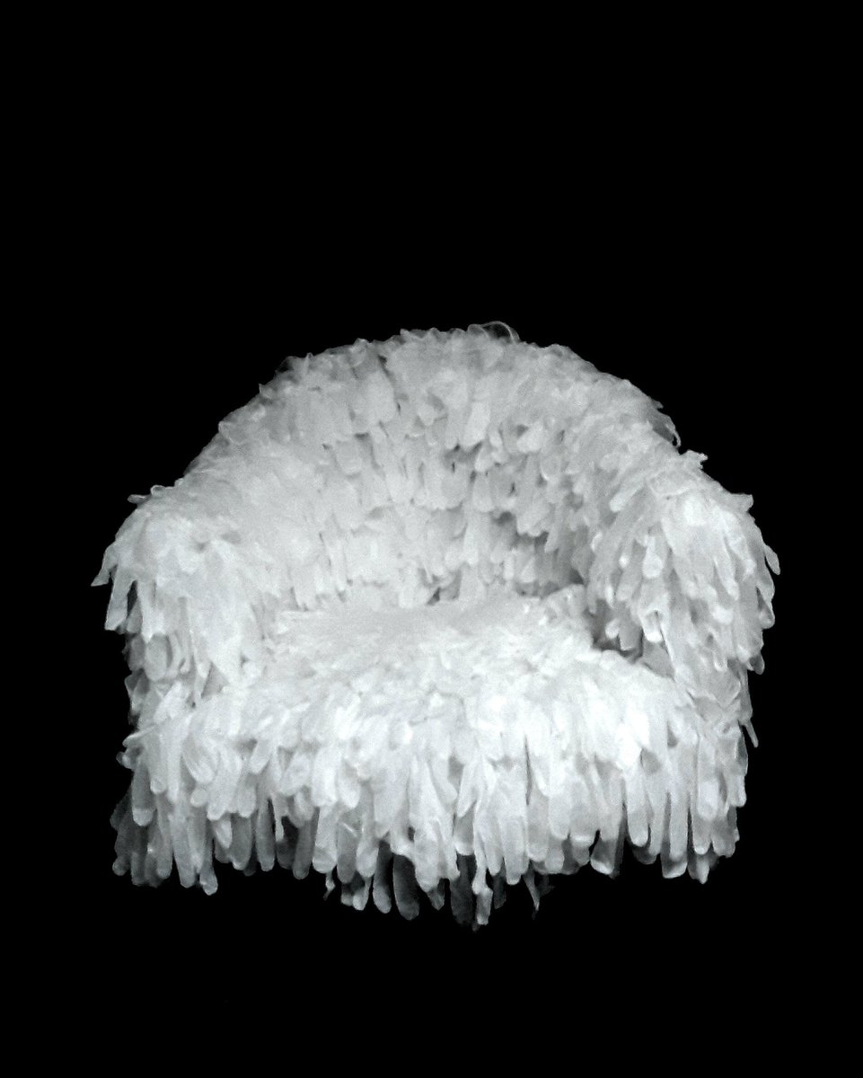 ••Elizabeth•• tweet media