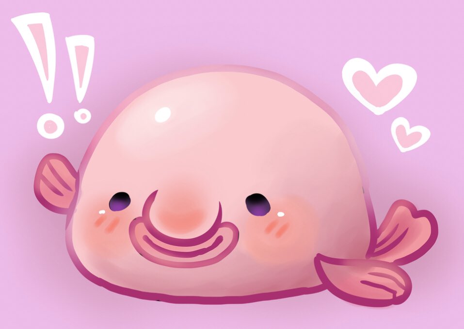blobfish on Twitter: blobfish on Twitter: